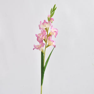 ดอกไม้แกลดิโอลัสอันสง่างามสำหรับการเลือกที่เห็นอกเห็นใจการเคารพสำหรับกิจกรรมที่ระลึกงานศพและของขวัญที่ระลึก - Product Image 5