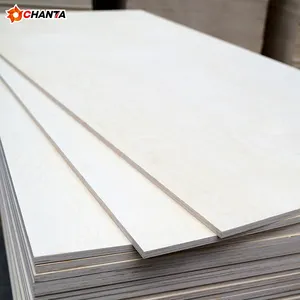 Linyi Chantaの18mm UVバーチ合板/UVコーティングバーチ合板