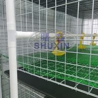 Système de cages à poulets de chair galvanisées de type H à 3 niveaux de haute qualité, état neuf, pour l'élevage de volailles, cailles et oiseaux