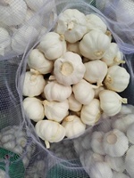 Ail frais en vrac de Chine, prix bas, haute qualité pour les importateurs et distributeurs en gros, Ail Aglio