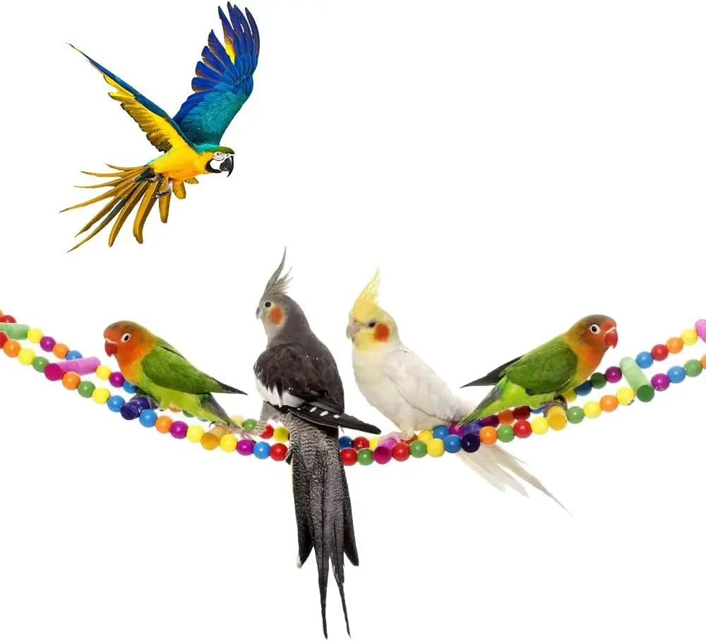 parakeet bird toys