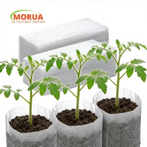 Sacs <span class=keywords><strong>de</strong></span> plantation et pots à fleurs biodégradables, respirants, écologiques, en tissu non tissé, 1 gallon - Product Image 2