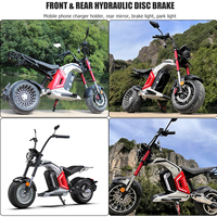 Wholesale 60v 3000w haché brushless 17 pouces fat Tyre électrique hors route scooter grand siège CEE & COC certification