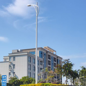 Üreticilerin Çift Kollu Alüminyum Sokak Aydınlatma Direği Yol Dış Mekan Lamba Direkleri 10FT 15FT 20FT 25FT 30FT 35FT 40FT - Product Image 3