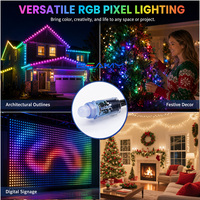 Beamy DC12V 24V Luces LED de Cadena de Puntos de Píxeles RGB a Todo Color con Control Inteligente para Iluminación de Fachadas de Edificios en Exteriores, Decoración Navideña
