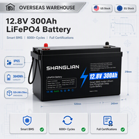 Batterie LiFePO4 de qualité supérieure (Stock UE) 12,8V 100Ah 200Ah 300Ah à décharge profonde 12V avec BMS intelligent, 6000+ cycles pour stockage solaire, camping-car et systèmes hors réseau