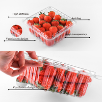 Pasokan pabrik blister transparan hewan peliharaan 1000g kotak paket buah blueberry clamshell wadah hewan peliharaan 170g plastik blueberry punnet