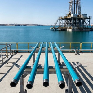 Bomba de Cavidad Progresiva para Campos Petroleros - Product Image 2