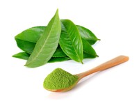 Extrait de feuilles de thé vert sauvage en gros, prix d'usine, 50% de polyphénols, extrait végétal, supplément de santé en poudre, emballage en fût