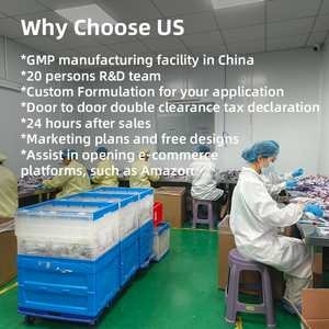 Pacotes Nootrópicos Lifeworth com Cogumelo Lion's Mane, Suplementos de Nutrição Esportiva com Energia e L-Teanina - Product Image 5