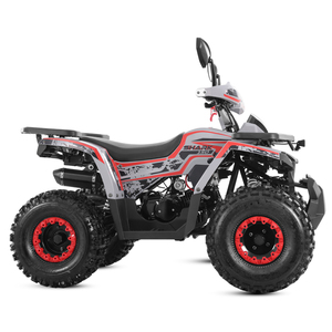 Nuevo Cuatrimoto Tao Motor 2025 Chino Económico de <span class=keywords><strong>150cc</strong></span> con Arranque Eléctrico y Transmisión por Cadena - Product Image 6