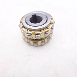 Rodamiento de Rodillos Excéntricos de Doble Hilera Serie RN, Piezas Reductoras RN205M+43 - Product Image 6