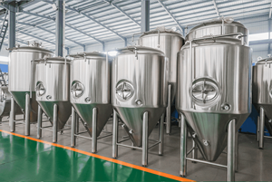 Unitanks Coniques en Acier Inoxydable 200L 500L 1000L 5000L pour Fermentation Artisanale de Bière (FV CCT CKT) – Personnalisables – Ts-100L Cidre - Product Image 6