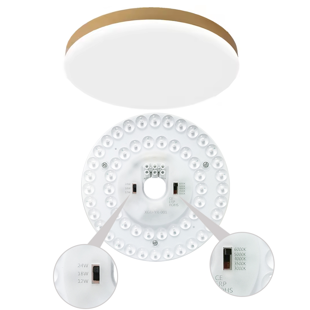 CE ERP SMD 12W 18W 24W CCT DIP Switch Replace LED Board PCB Panel Ceiling Light LED Modules