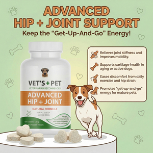 Integratore per Anche e Articolazioni per Cani con Etichetta Privata Personalizzata, Compresse Masticabili con Glucosamina, Condroitina, MSM e Curcuma per la Mobilità di Cani Anziani - Product Image 1