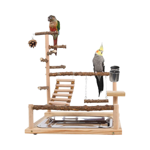 Dayanıklı kuş oyun parkı spor <span class=keywords><strong>stand</strong></span>ı Perches besleme fincan salıncak merdiveni tepsi Lovebirds papağanlar için 45x37x26 CM - Product Image 1
