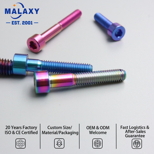 Vis en titane à tête cylindrique et six pans creux pour modification de moto MALAXY - Product Image 3