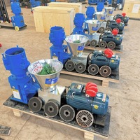 Petite machine à granulés d'alimentation de 100kg pour usage domestique et petites fermes, moulin à granulés plat électrique