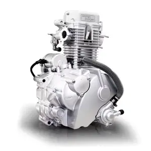 Cqjb Hoge Kwaliteit Loncin Lifan Motorfiets Motor Cg150/CG250-G/Cgsb250cc Motorfiets Motor Assemblage