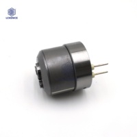 7206-0435 Aktuator 72060435 Katup Kontrol untuk BEBE4C08001 BEBE4C07001 3829087 889481 3803637 EUI 2-Pin E1 Injector
