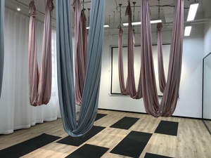 Hamac <span class=keywords><strong>volant</strong></span> pour yoga aérien, <span class=keywords><strong>trapeze</strong></span> rose et support, hamac de fitness anti-gravité en nylon - Product Image 2