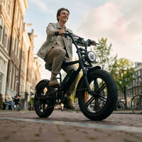 Vélo électrique tout-terrain à pneus larges 20*4.0 pour la plage, la neige, le sable et le gravier