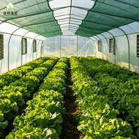 Grande serre agricole multi-travées à structure en acier galvanisé, couverture en film PE, structure stable, montage facile pour hydroponie