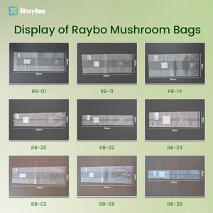 =RAYBO 390*650mm Size Breathable PP <strong>Bag</strong> for <strong>Magic</strong> <strong>Mushroom</strong> <strong>Grow</strong> <strong>Bags</strong> with Injection Port - Product Image 6