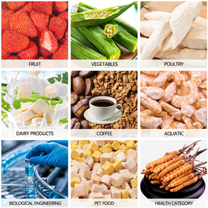 FDG-75 HUARAN 75m² Sécheur par congélation sous vide pour aliments, fruits et légumes, lait, café et bonbons – Équipement de lyophilisation - Product Image 6