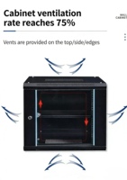 Armoire réseau 9U 450*530*400mm 19 pouces pour serveur, murale ou sur pied, pour centre de données, en matériau SPCC