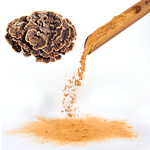 Extracto de polvo marrón-amarillo de seta de cola de pavo, potenciador del sistema menstrual, <span class=keywords><strong>precio</strong></span> económico - Product Image 3