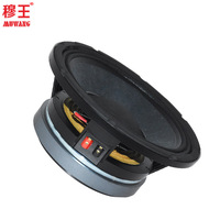 Haut-parleur audio professionnel large bande de 10 pouces avec aimant en ferrite pour studio et scène, modèle WL10193, vente chaude
