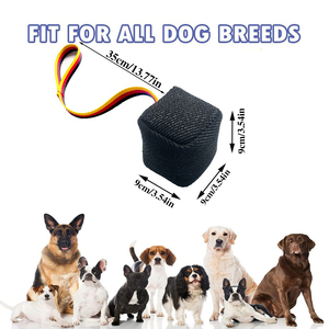 Küçük Köpekler İçin İnteraktif Yırtılmaz Çanta Oyuncak, Çiğneme, Getirme Eğitimi, Diş Çıkarma Oyunu, Orta Boy Yavru Köpekler İçin - Product Image 2