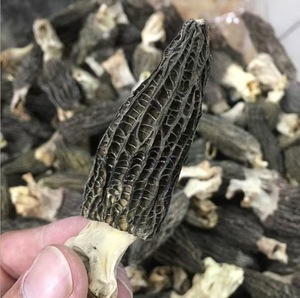 <span class=keywords><strong>Prix</strong></span> d'usine <span class=keywords><strong>Morilles</strong></span> <span class=keywords><strong>Morilles</strong></span> séchées - Product Image 2