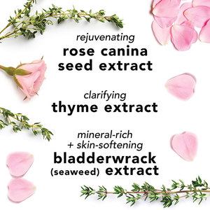 Private Label Moisturizing Shrink Pore Refresher Lavender Cucumber <strong>Rose</strong> Water Facial Toner <strong>Spray</strong> - Product Image 5
