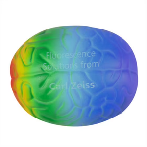 医療用抗ストレススクイシー脳モデルパックソフトPUフォームスローライジングスクイシー玩具教育ツールストレス軽減 - Product Image 4