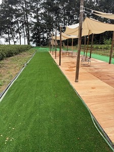 Artificial Lawn Turf Synthetic Grass Outdoor Realistic Greenery for Garden Placement - Product Image 5