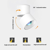 Sunset Atmosphere Spotlight COB 10W LED AC 110V 220V para el fondo del hogar Pared Pasillo Techo Iluminación comercial