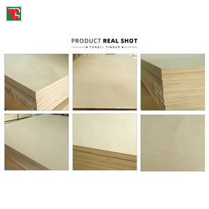 Contrachapado de abedul marino de 25 mm, grado acabado, blanco, barato, impermeable, <span class=keywords><strong>Bbb</strong></span> 18 Ddp, lámina de 3 mm, 18 mm <span class=keywords><strong>B</strong></span>/Bb, Conacaste - Product Image 5