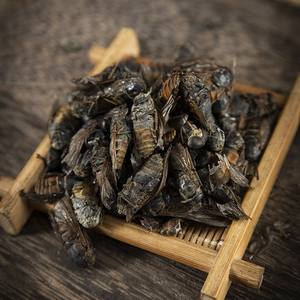 Bullfly Insectos secos a granel Mosca Mosquito Saltamontes Venta al por mayor y Dropshipping Estilo Ad-Dried - Product Image 3