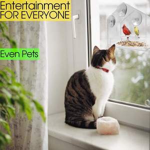 Mangeoire à oiseaux à fenêtre transparente caractéristique automatique Design élégant ventouses faciles à nettoyer mangeoires à oiseaux en acrylique pour jardin cour - Product Image 6