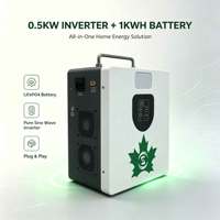 Station d'alimentation solaire portable 1 kWh, 0,5 kW, onde sinusoïdale pure, batterie LiFePO4 intégrée pour utilisation hors réseau à domicile