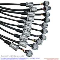 Faisceau de câbles aviation Weipu WS24, connecteur 2P12 cœurs 19TQ+Z mâle-femelle, câble d'extension alimentation et signal, faisceau de câblage électrique