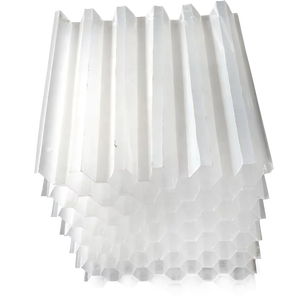 Décanteur lamellaire incliné sur mesure pour le traitement des eaux usées - Product Image 1
