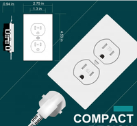 Stopkontak Dinding Luar Ruangan Anti Lonjakan Ganda IP44 Standar Amerika, PVC, Tipe US, untuk Hunian/Umum, 15A