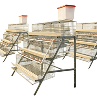 Cage à poules pondeuses galvanisée de type D à 48 cellules, équipement avicole peu encombrant, cages à œufs durables pour usage agricole