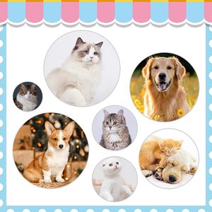 Peigne et brosse de toilettage pour animaux de compagnie, écologiques, en plastique de haute qualité, multicolores, à dégarnissage rapide, pour chiens et chats, pour le massage - Product Image 3