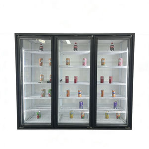Vitrine Réfrigérée Commerciale à Double Température avec Porte Vitrée pour Restaurants, Bars, Vins Réfrigérés et Desserts Frais - Product Image 3