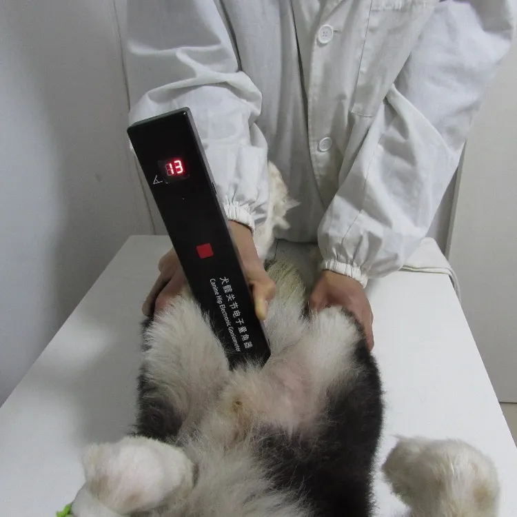 動物猫犬検査獣医医療機器用BLUESAO犬ヒップ電子ゴニオメーター