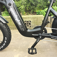 Tricycle électrique cargo pour adultes, entrepôt UE, 48V 250W, vitesse maximale 25 km/h, cadre en aluminium, grand panier arrière